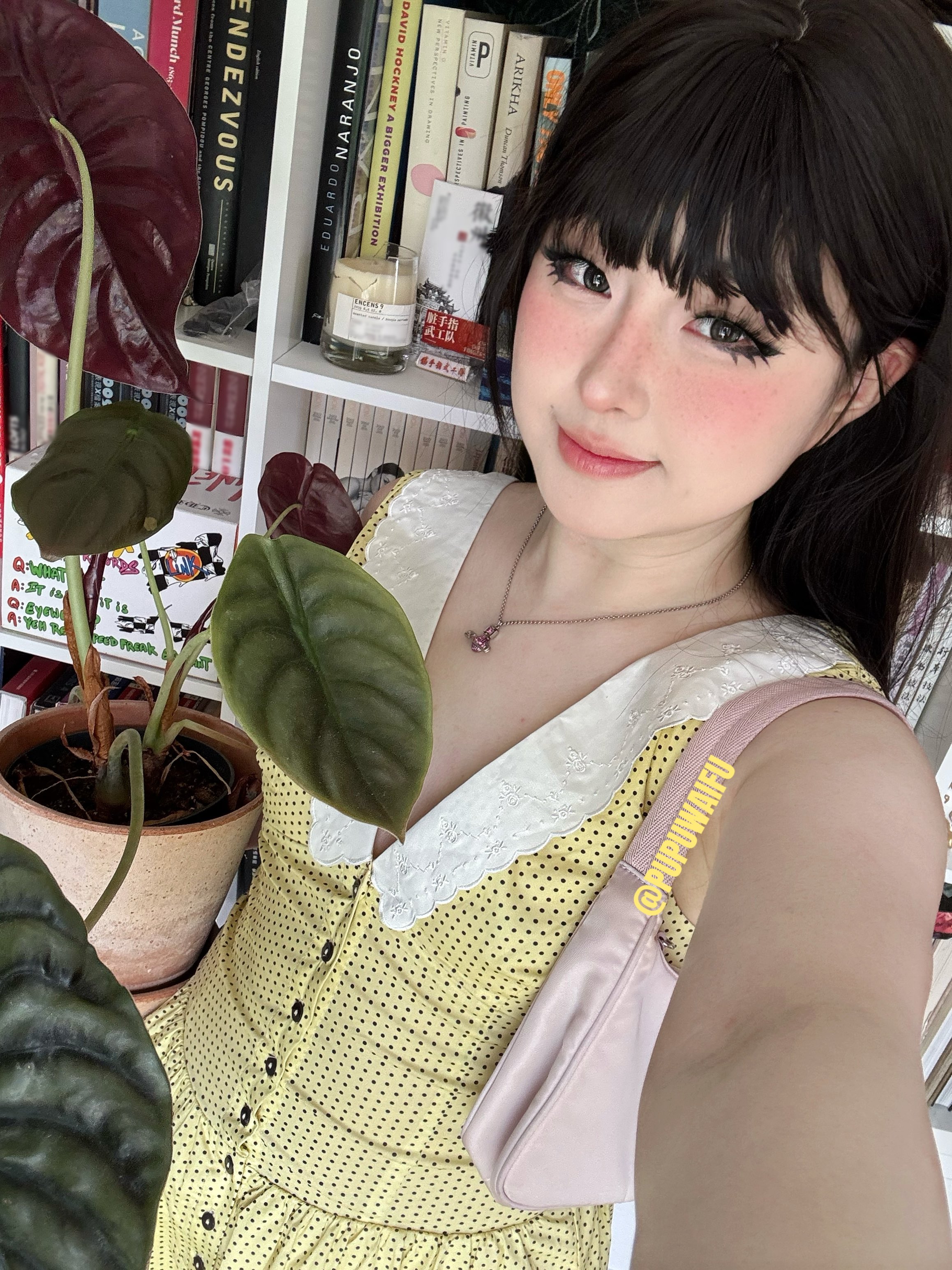 噗噗写真合集：178v作品大赏 持续更新